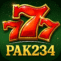 Pak234 game